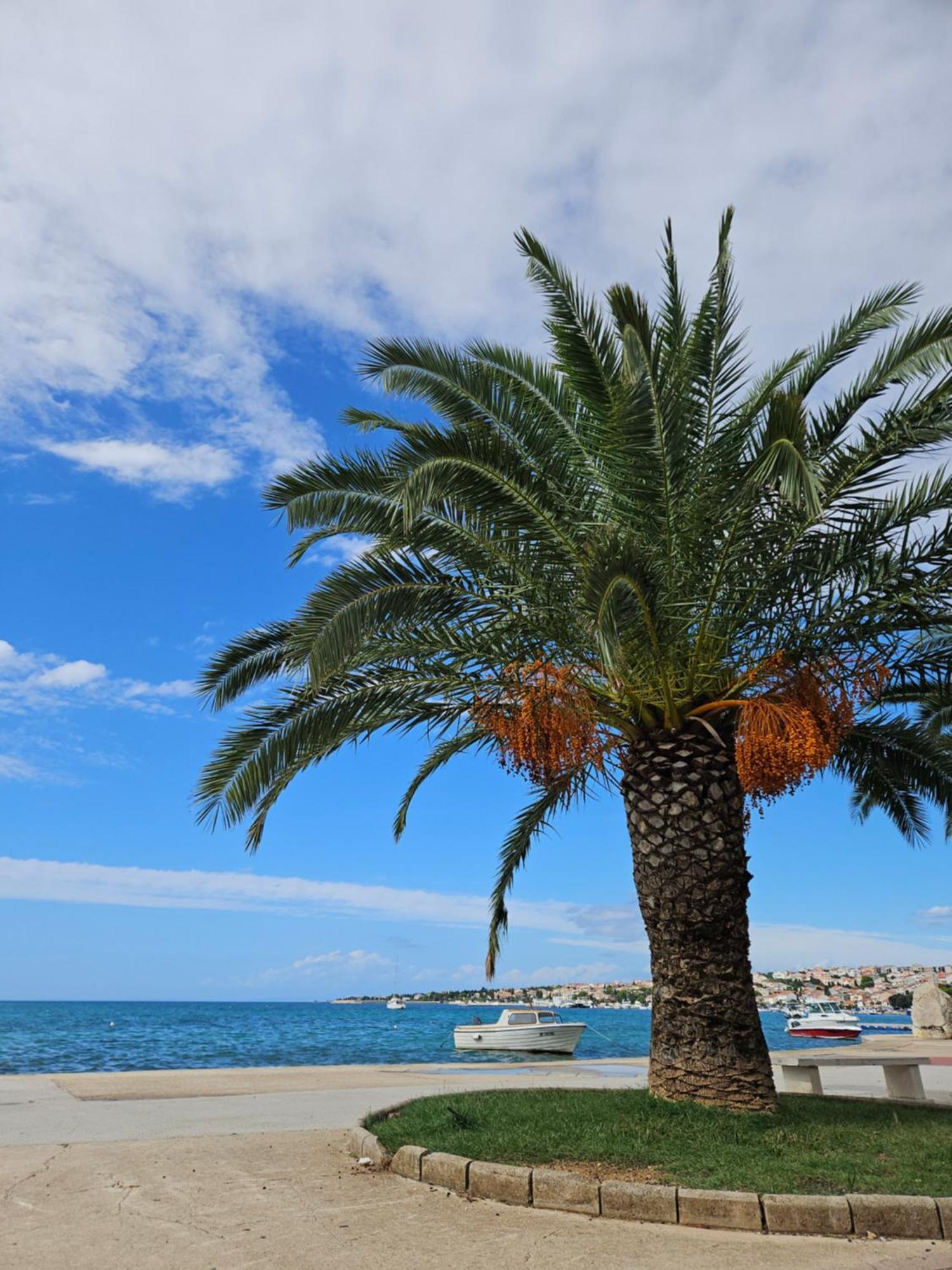 Kristal Paris Resort نوفاليا المظهر الخارجي الصورة